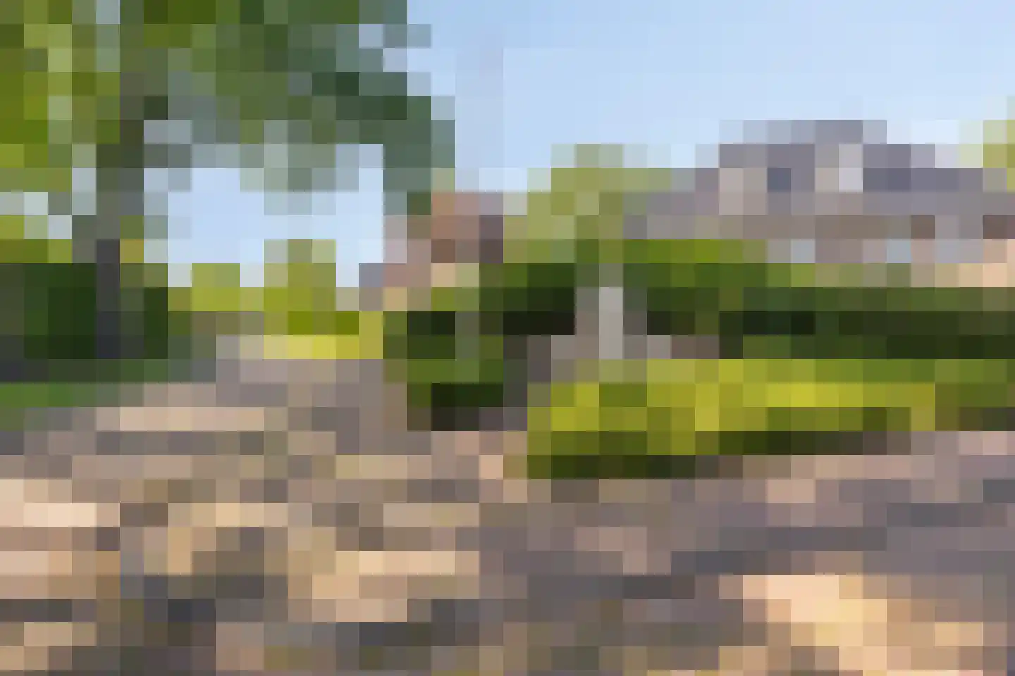 van Heutszsingel 98 Coevorden thumbnail 47