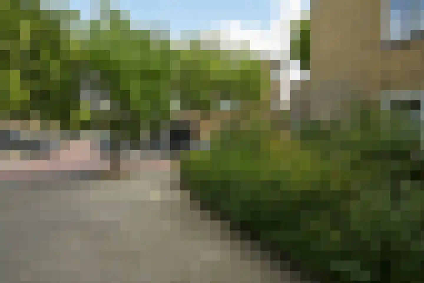 Van Heutszstraat 109 Den Haag thumbnail 40