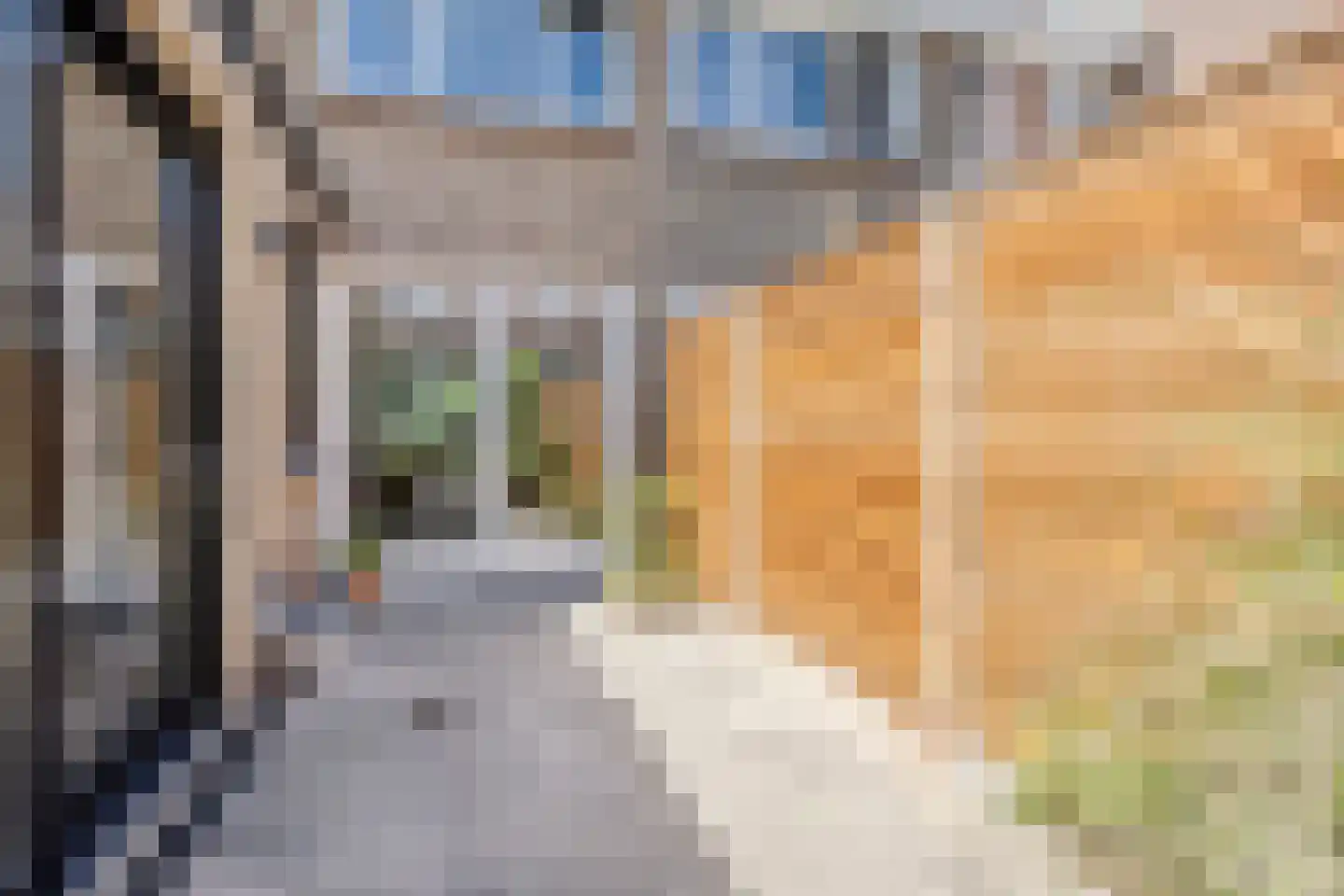 Van Heutszstraat 12 Tilburg thumbnail 31
