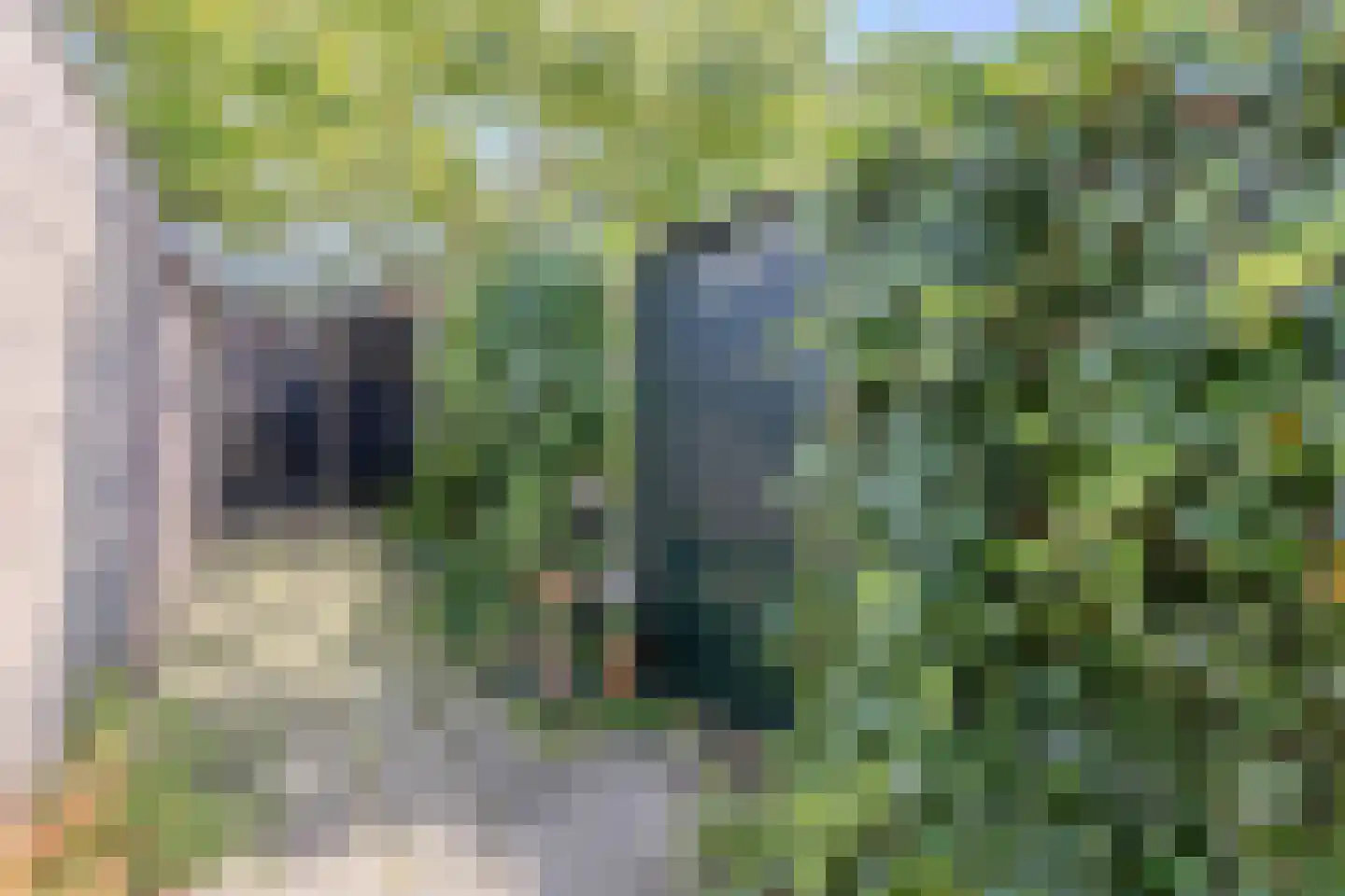 Van Heutszstraat 12 Tilburg thumbnail 33