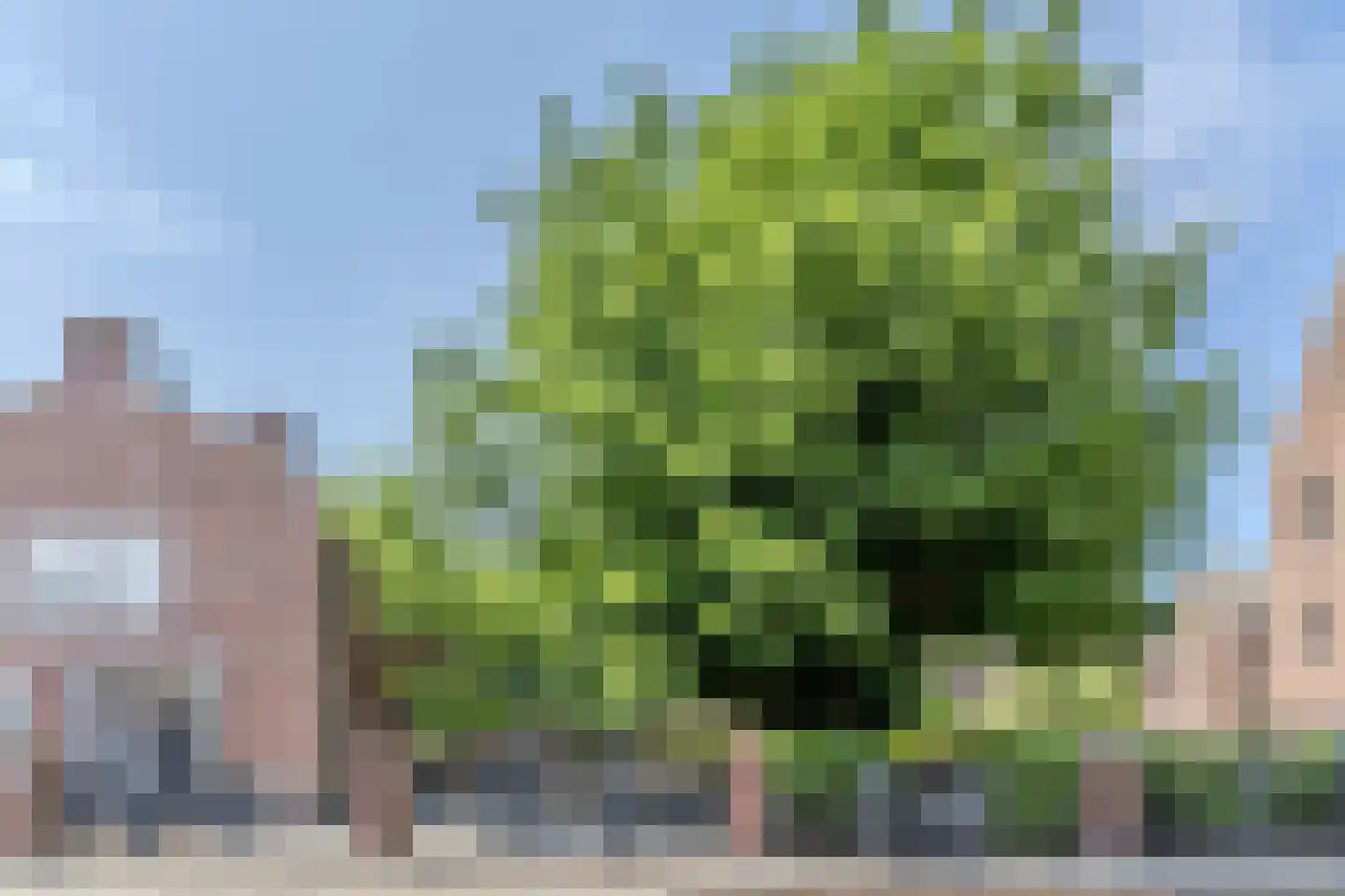 Van Heutszstraat 12 Tilburg thumbnail 36