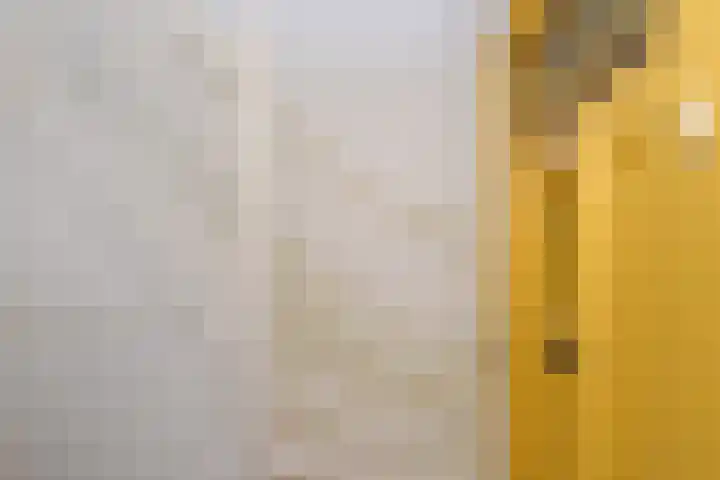 Van Heutszstraat 147 Den Haag thumbnail 6