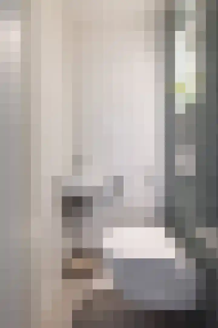 van Heutszstraat 15 Nijmegen thumbnail 37