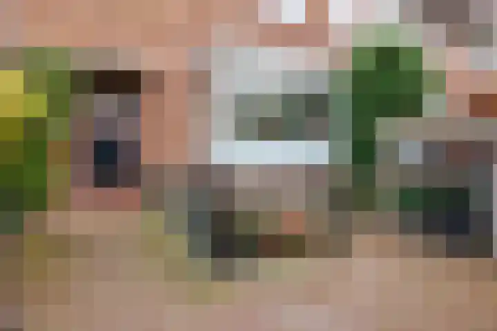 van Heutszstraat 15 Nijmegen thumbnail 4