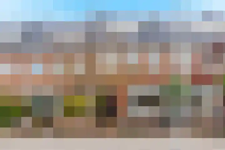van Heutszstraat 15 Nijmegen thumbnail 64