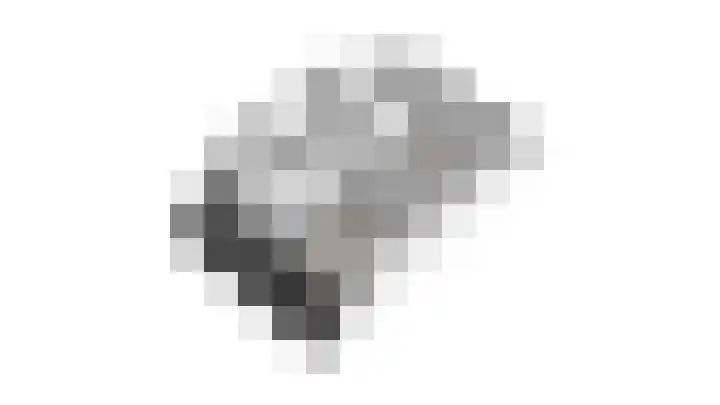 van Heutszstraat 15 Nijmegen thumbnail 76