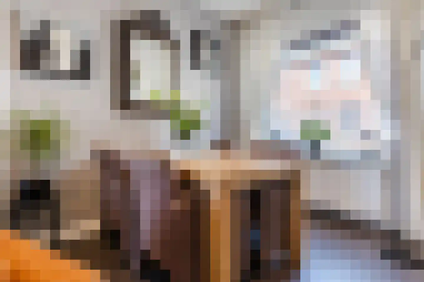 Van Heutszstraat 27 Tilburg thumbnail 11