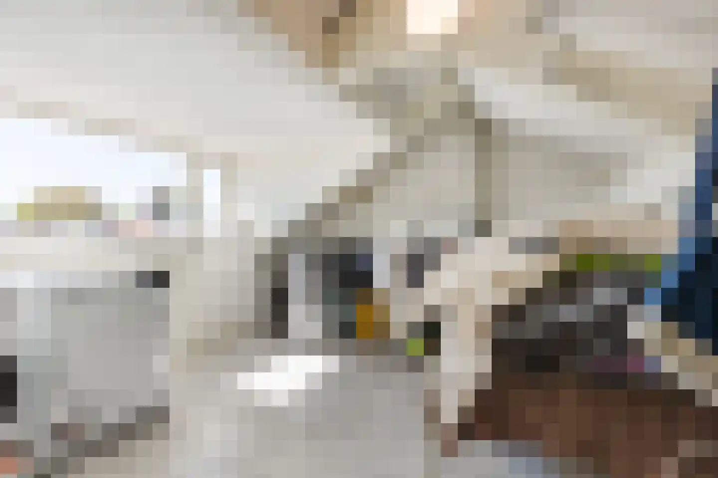 Van Heutszstraat 27 Tilburg thumbnail 23