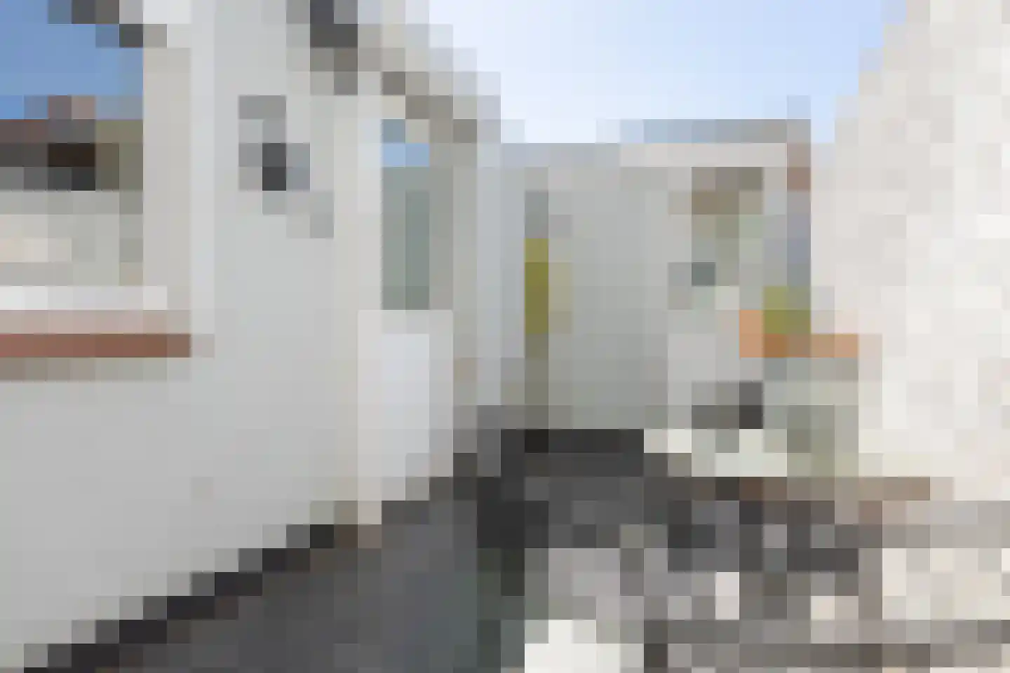 Van Heutszstraat 27 Tilburg thumbnail 27