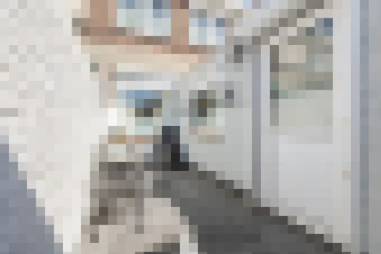 Van Heutszstraat 27 Tilburg thumbnail 28