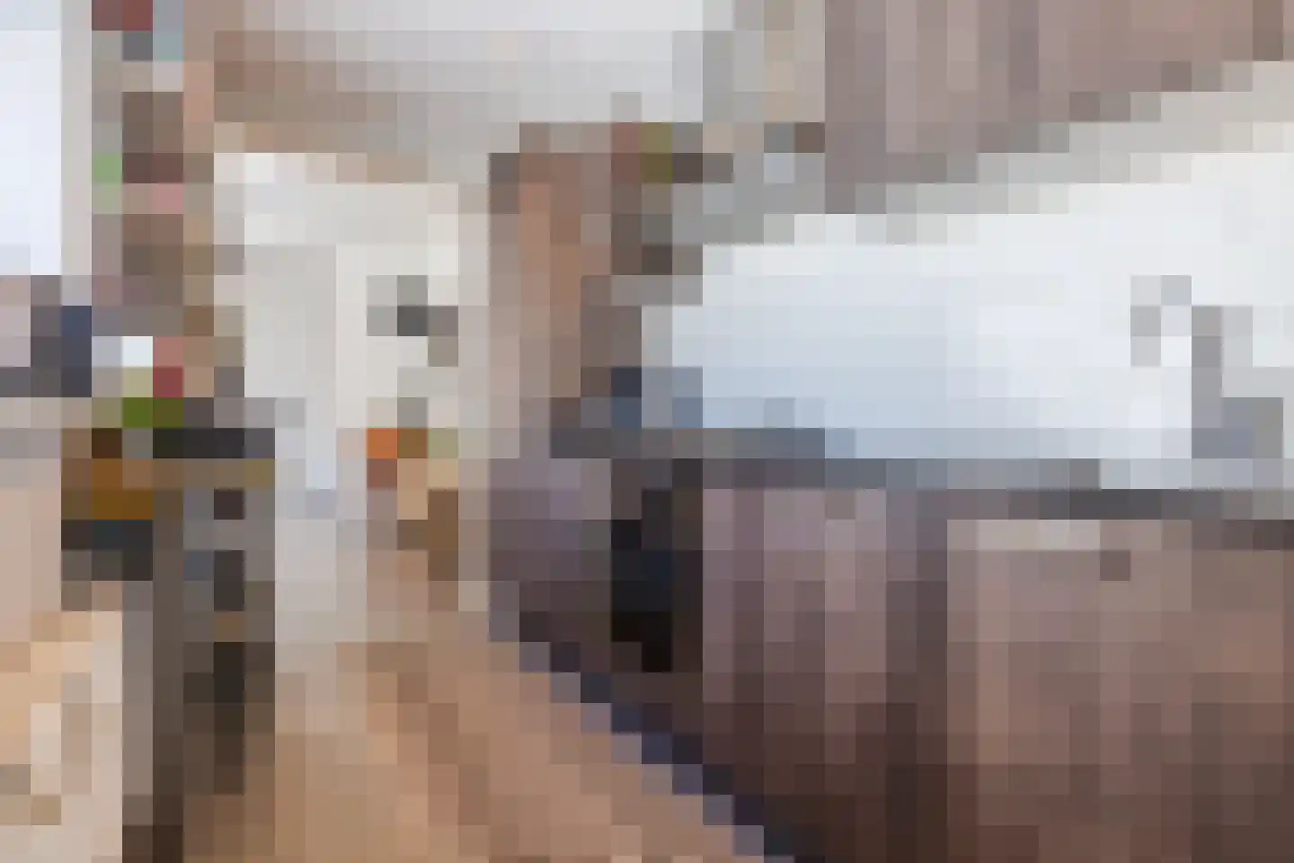 Van Heutszstraat 27 Tilburg thumbnail 4