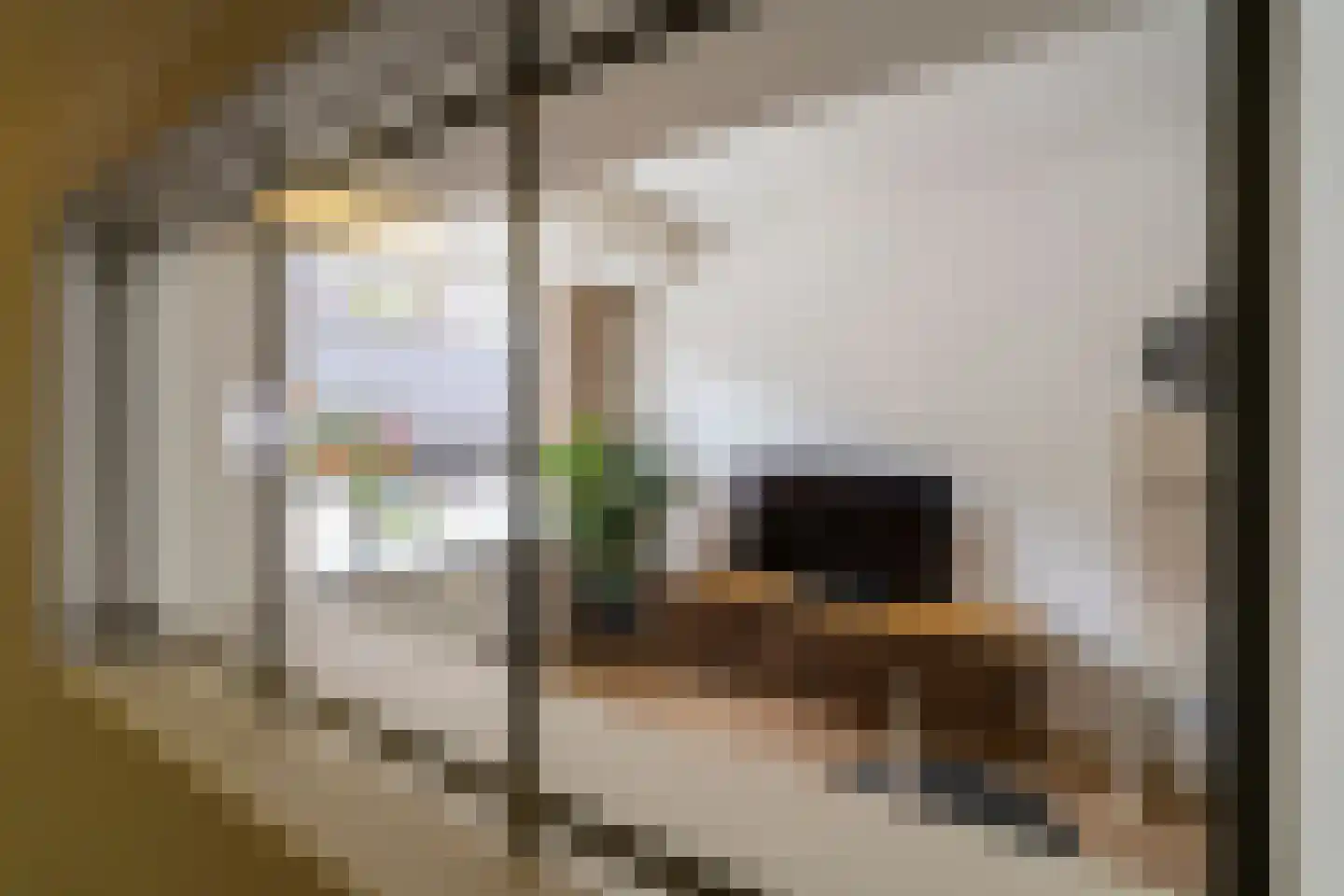 Van Heutszstraat 34 Tilburg thumbnail 10