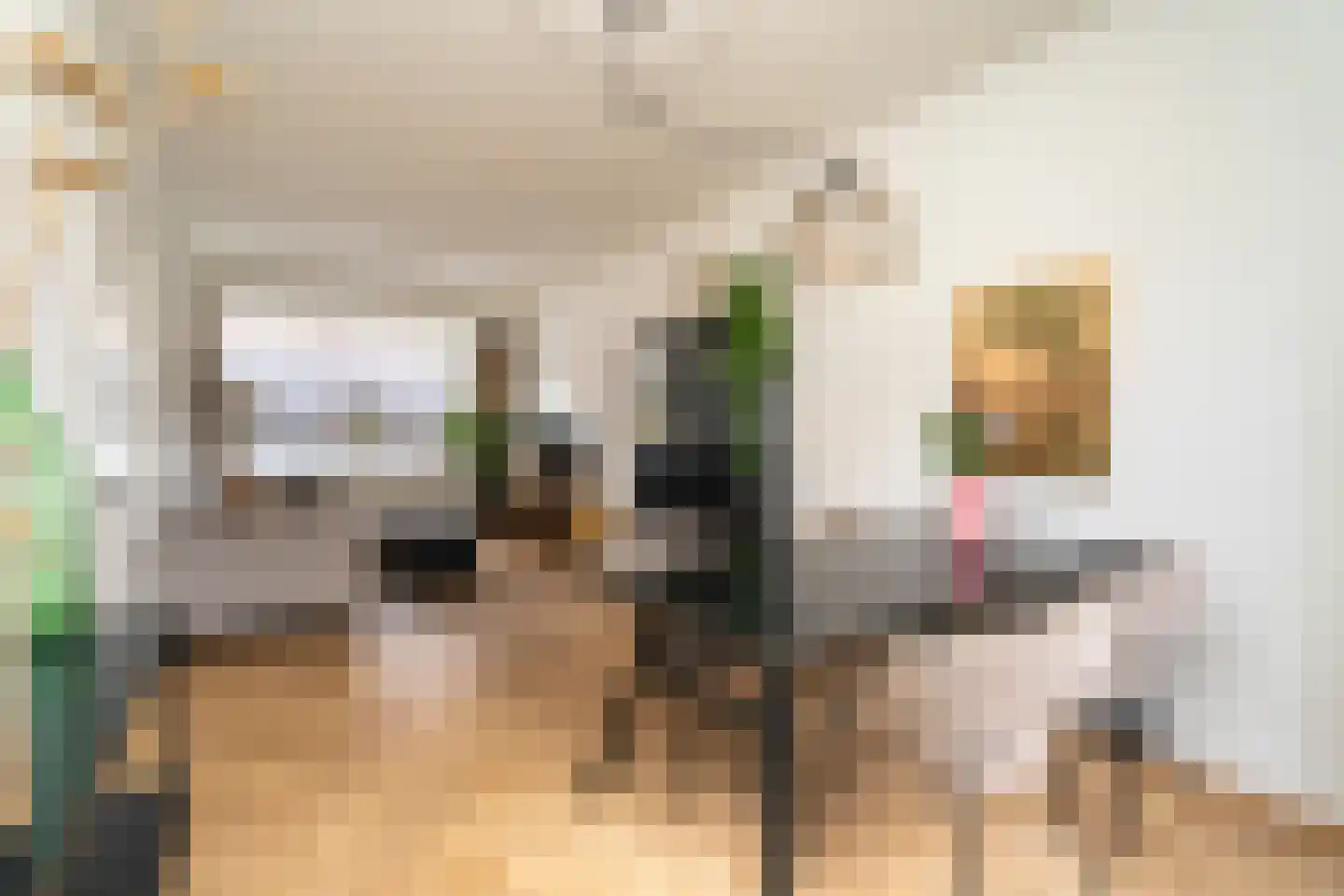 Van Heutszstraat 34 Tilburg thumbnail 12