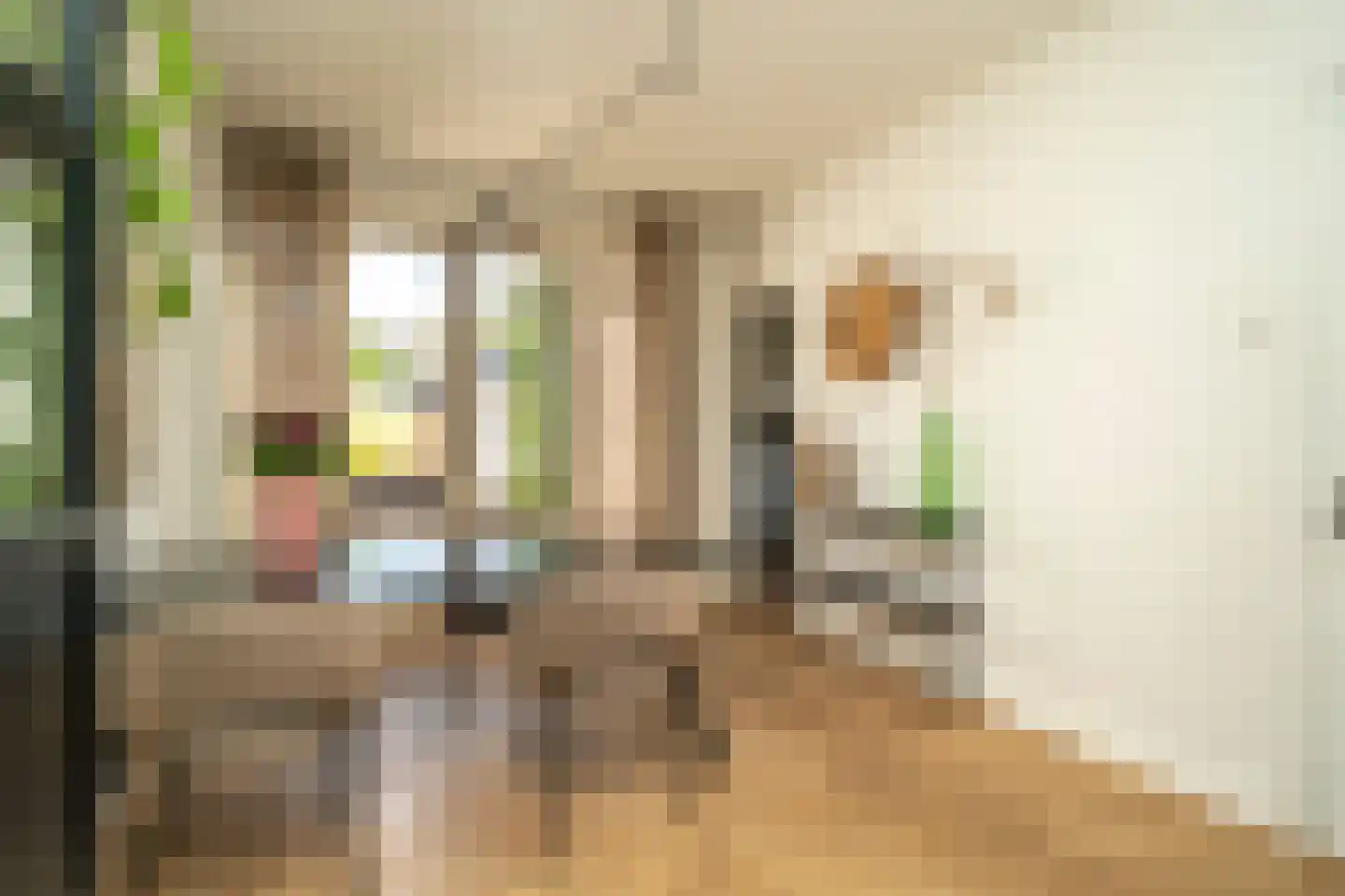 Van Heutszstraat 34 Tilburg thumbnail 14