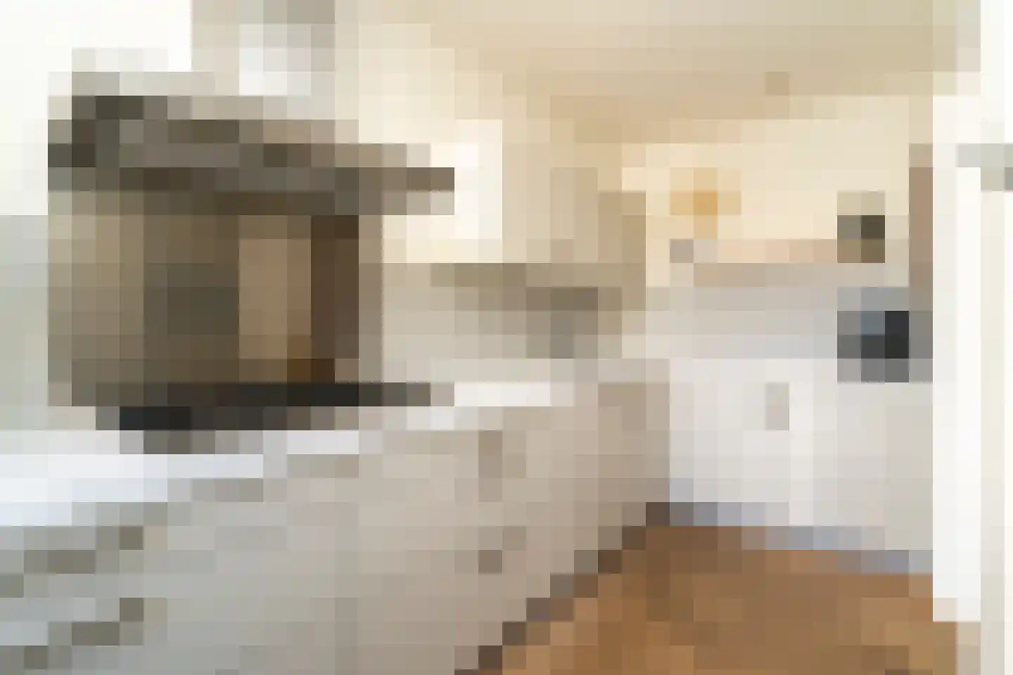 Van Heutszstraat 34 Tilburg thumbnail 16