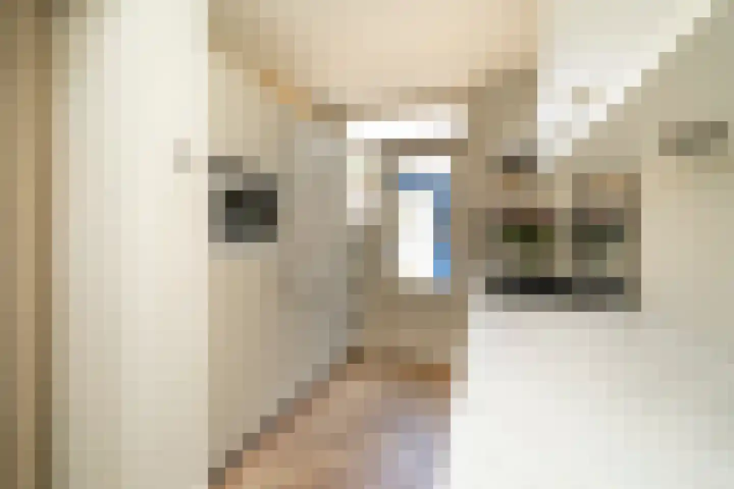 Van Heutszstraat 34 Tilburg thumbnail 17