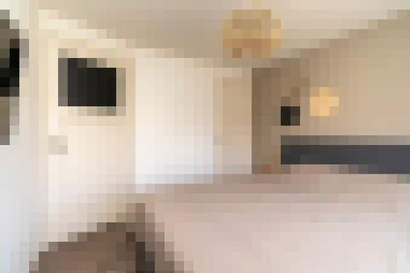 Van Heutszstraat 34 Tilburg thumbnail 20