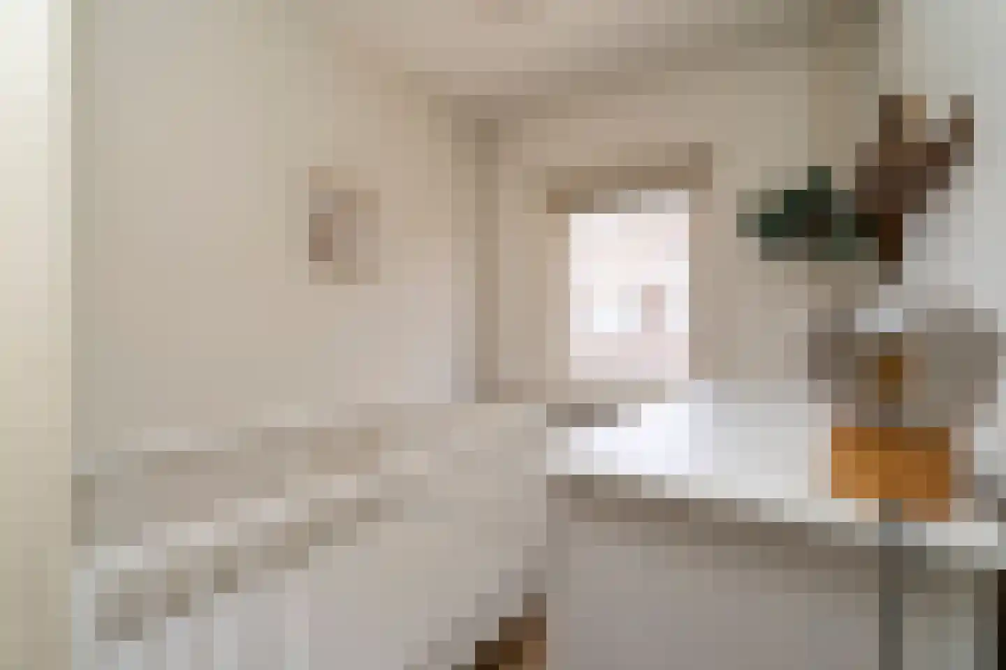 Van Heutszstraat 34 Tilburg thumbnail 21