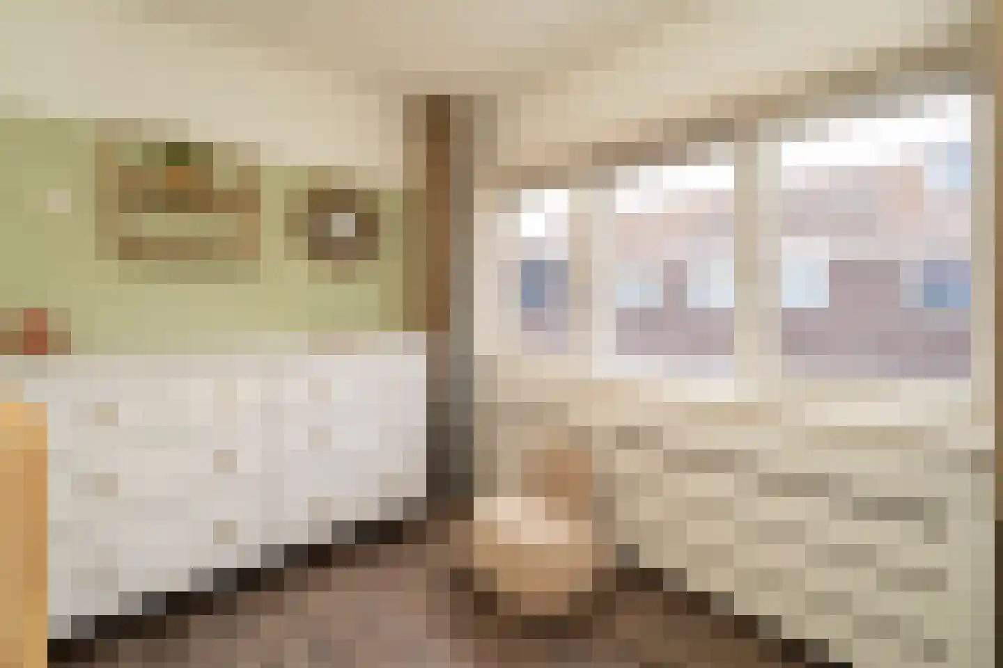 Van Heutszstraat 34 Tilburg thumbnail 23