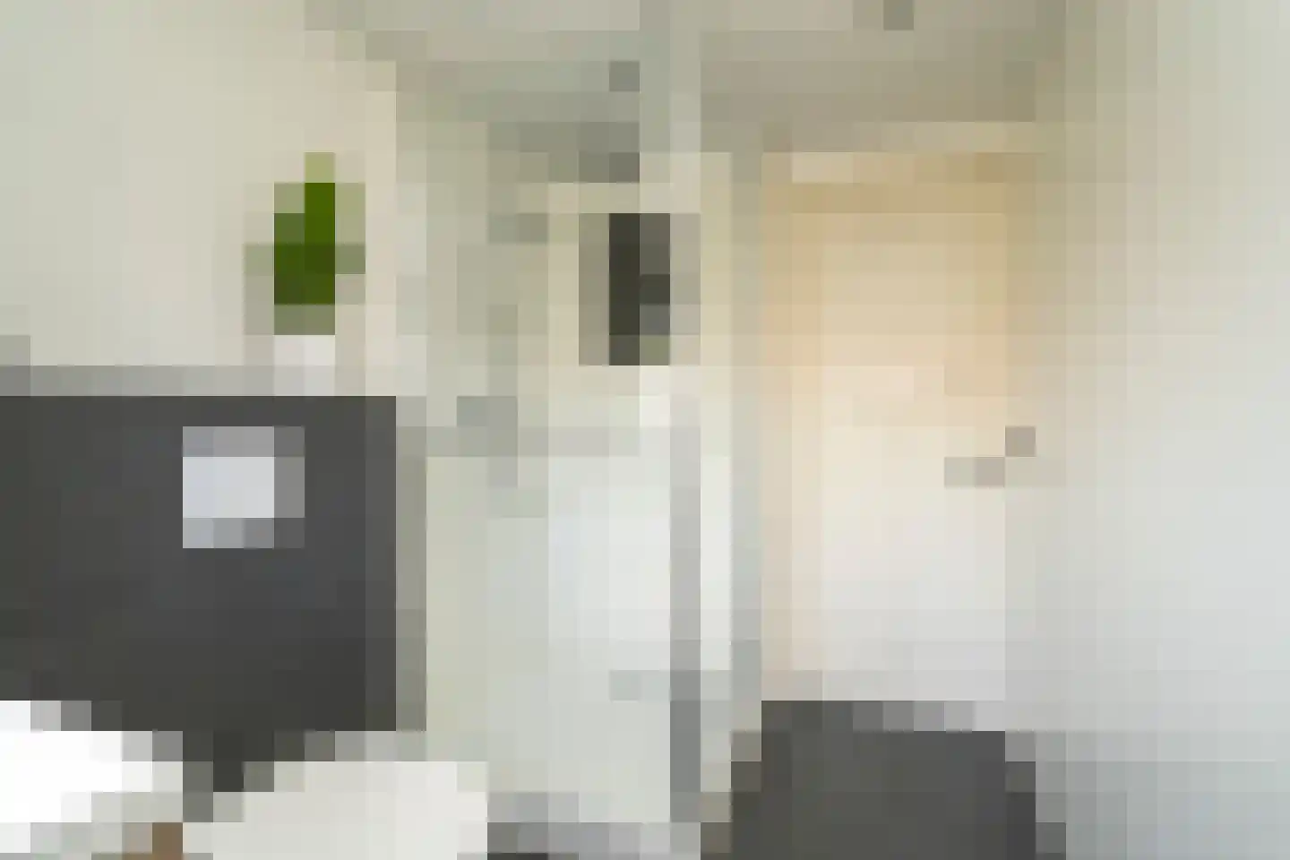Van Heutszstraat 34 Tilburg thumbnail 27