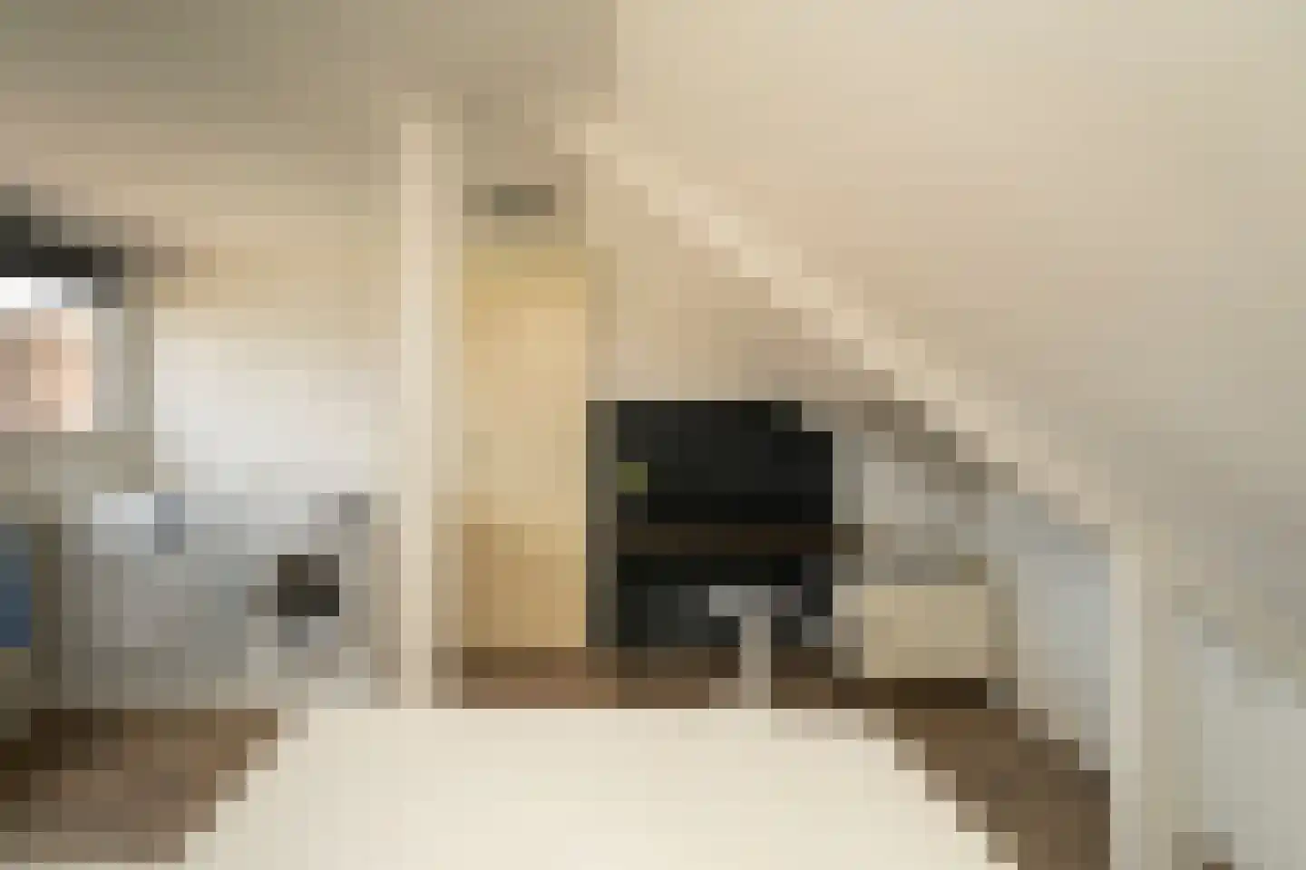Van Heutszstraat 34 Tilburg thumbnail 30