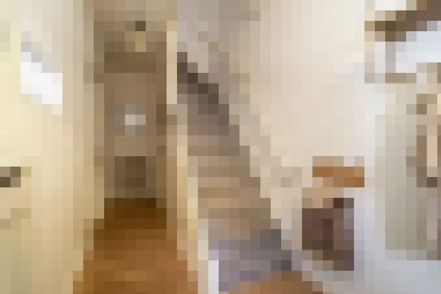 Van Heutszstraat 34 Tilburg thumbnail 8