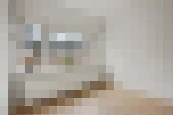 van Heutszstraat 50 Nijmegen thumbnail 30