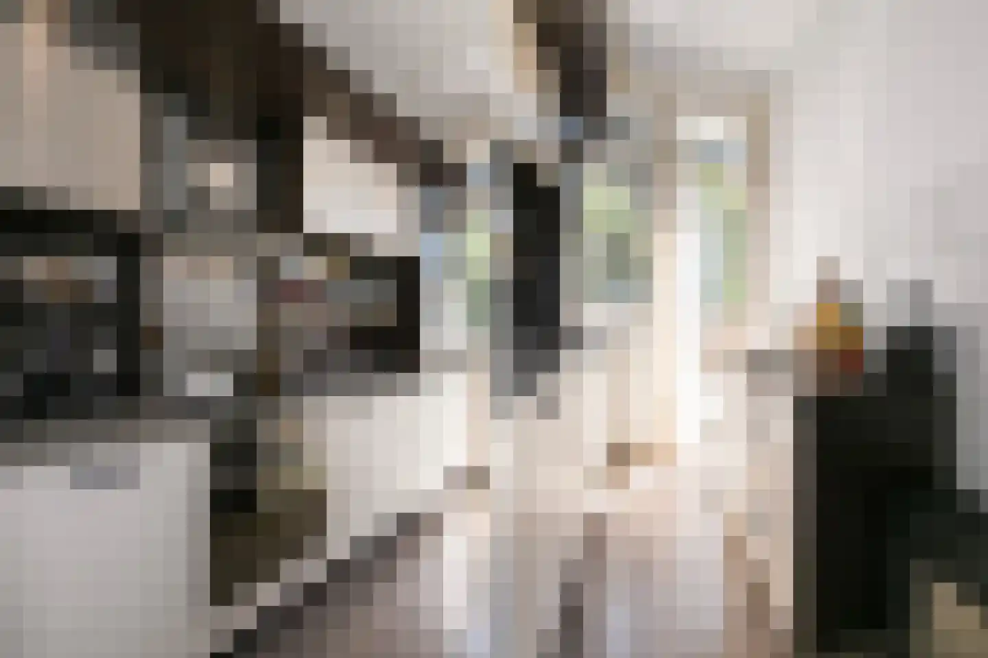 Van Heutszstraat 54 Den Haag thumbnail 22