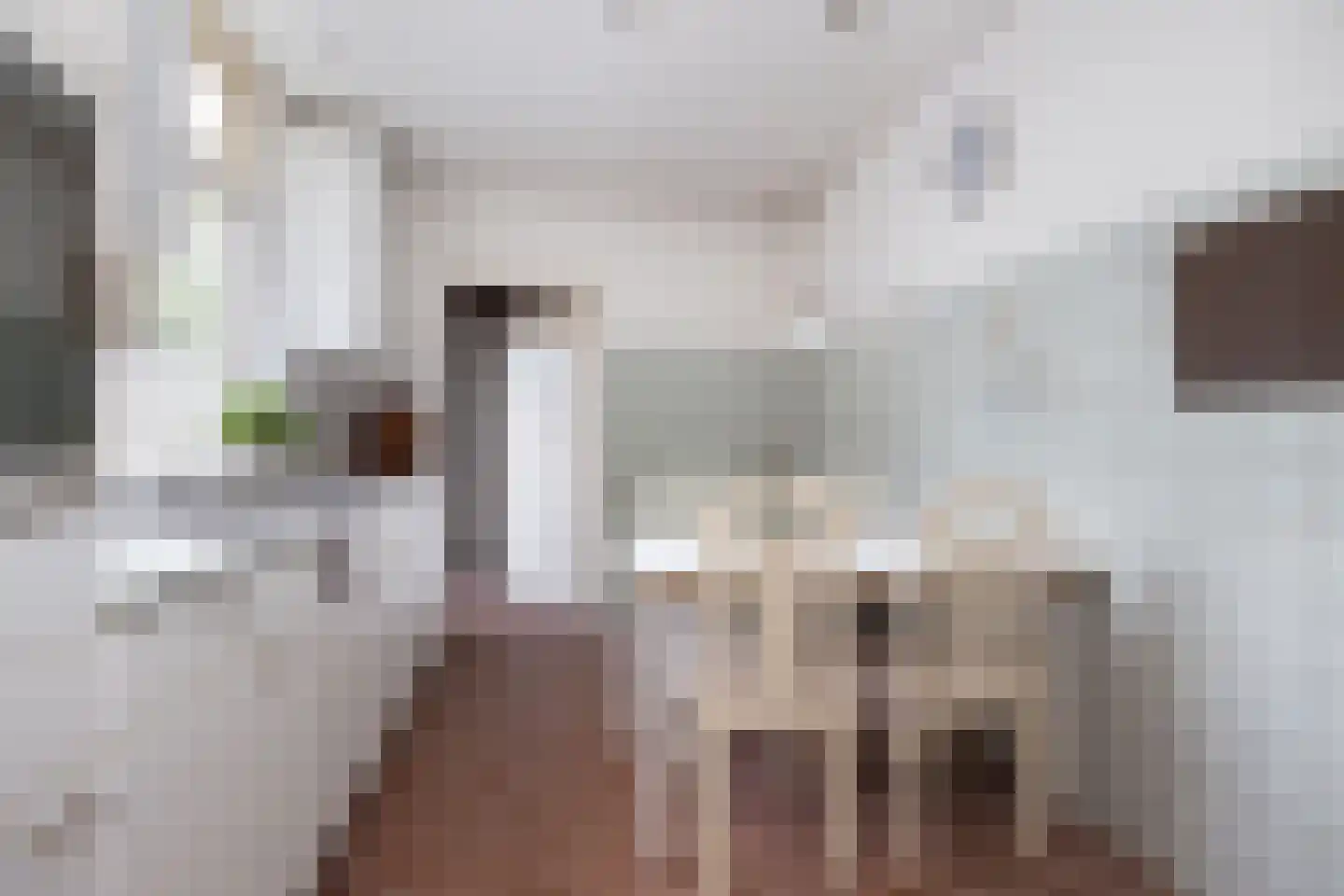 Van Heutszstraat 54 Tilburg thumbnail 12