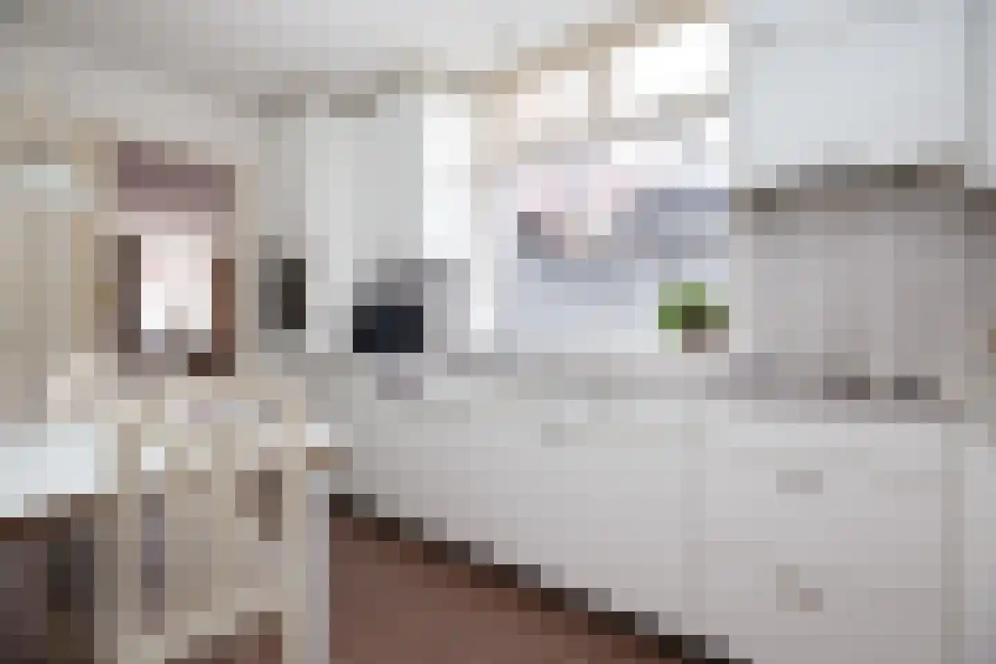 Van Heutszstraat 54 Tilburg thumbnail 13