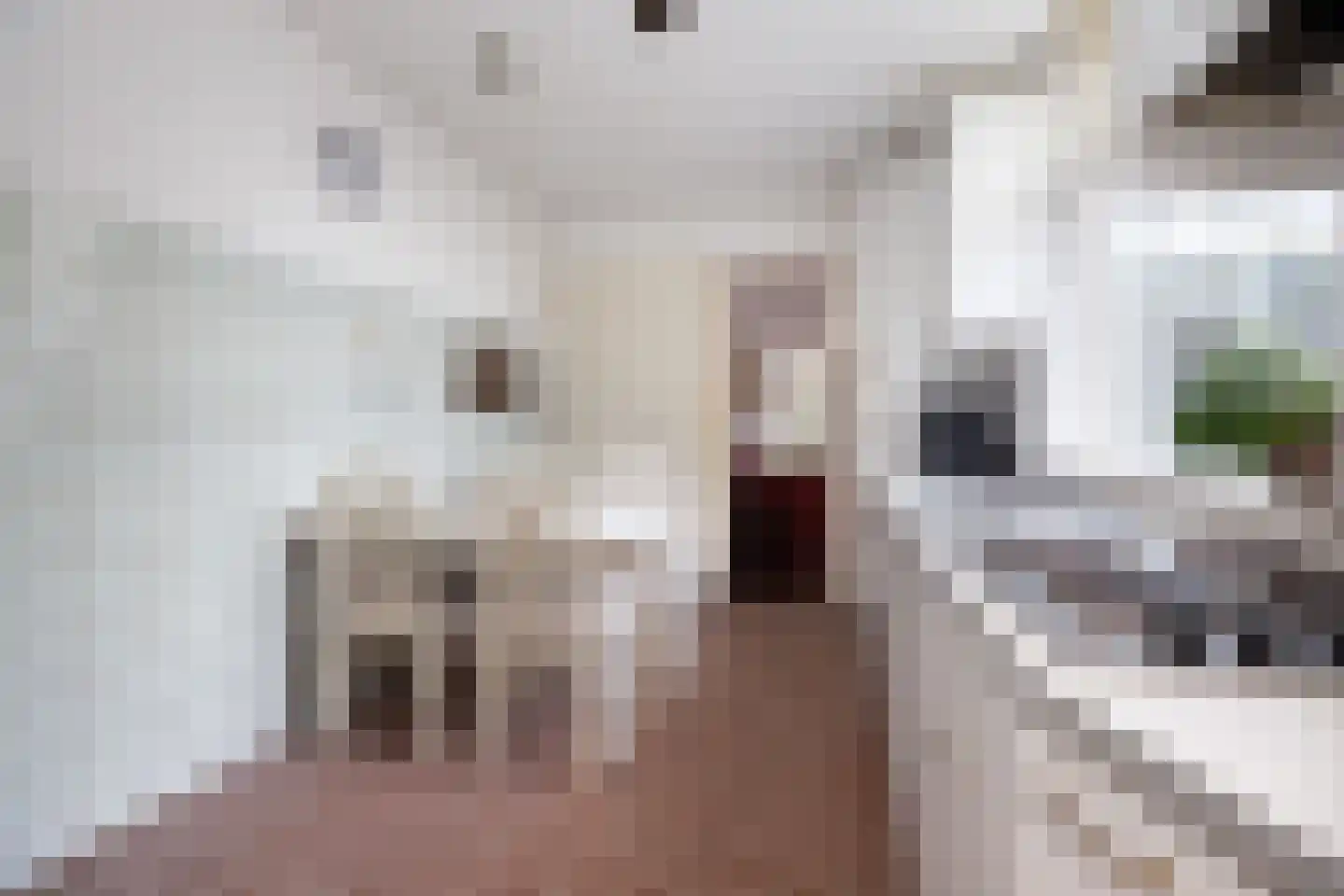 Van Heutszstraat 54 Tilburg thumbnail 14