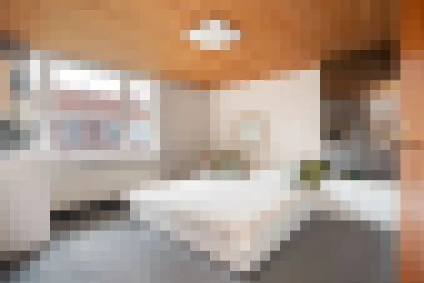 Van Heutszstraat 54 Tilburg thumbnail 24