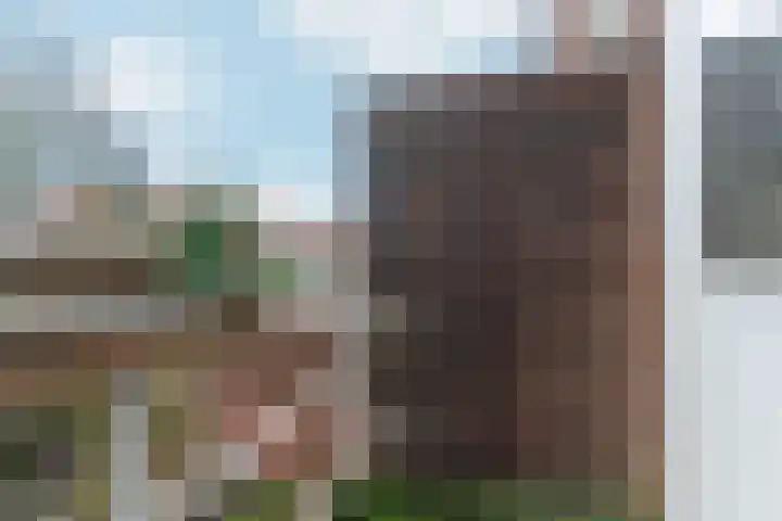 van Heutszstraat 55 Nijmegen thumbnail 18