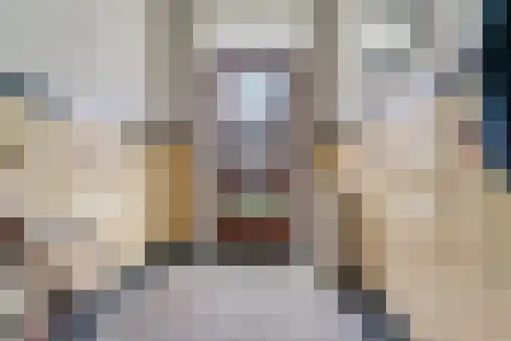 van Heutszstraat 55 Nijmegen thumbnail 8