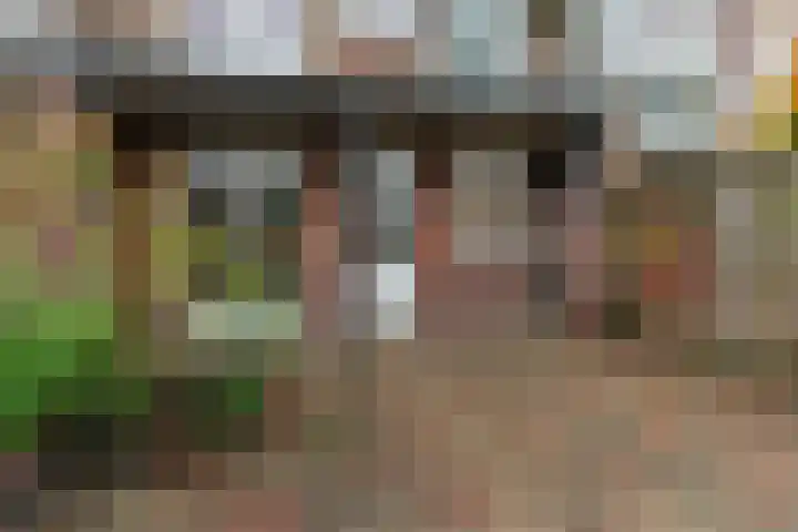 van Heutszstraat 57 Nijmegen thumbnail 38