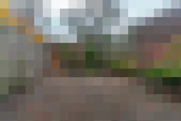 van Heutszstraat 57 Nijmegen thumbnail 5