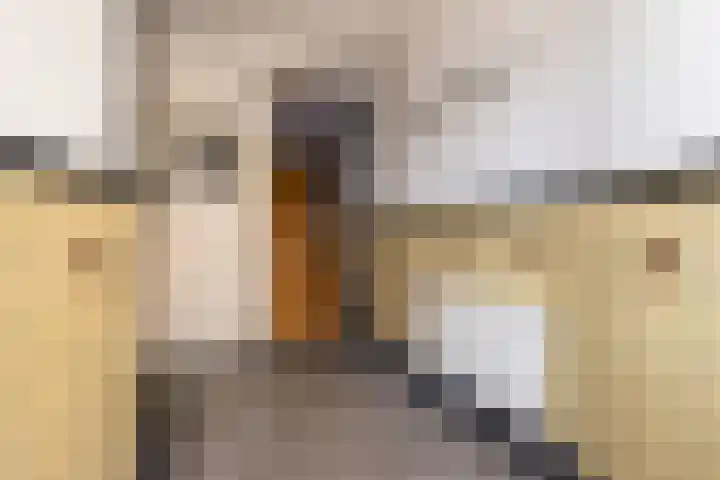 van Heutszstraat 59 Nijmegen thumbnail 4