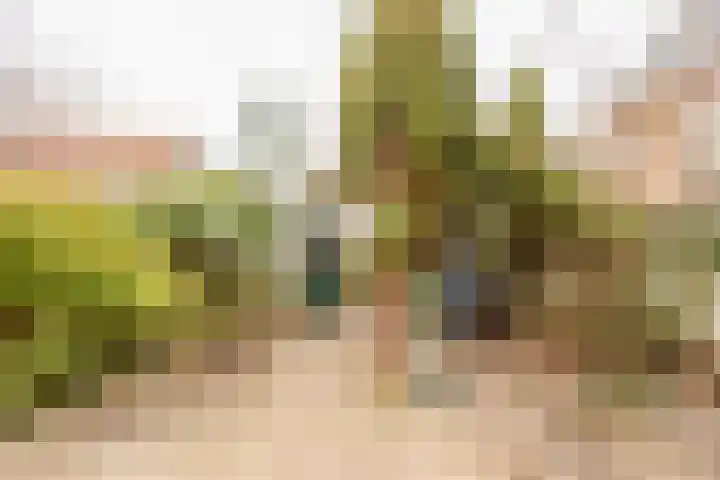 van Heutszstraat 6 Nijmegen thumbnail 20