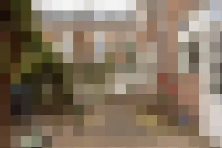 van Heutszstraat 6 Nijmegen thumbnail 21