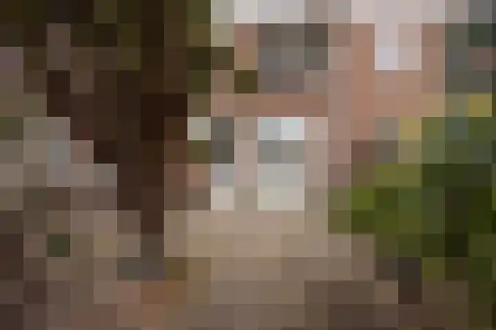 van Heutszstraat 6 Nijmegen thumbnail 22