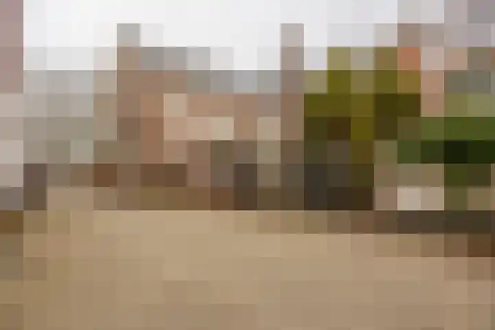 van Heutszstraat 6 Nijmegen thumbnail 23
