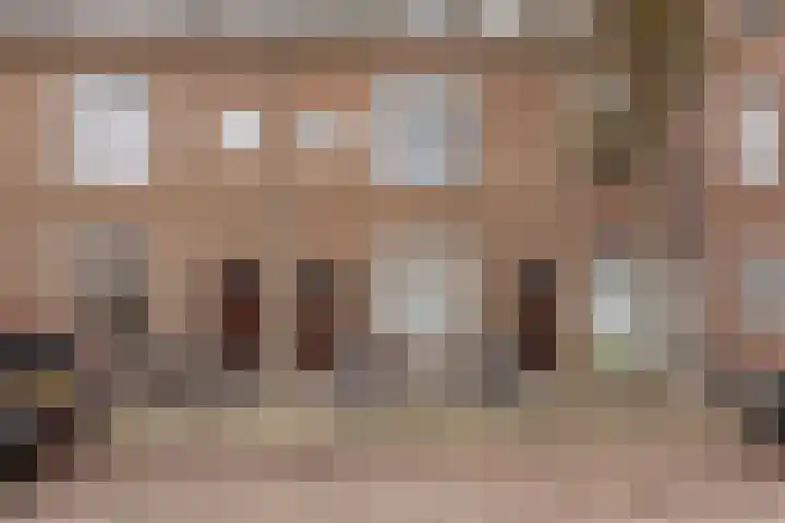 van Heutszstraat 6 Nijmegen thumbnail 24