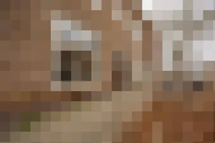 van Heutszstraat 6 Nijmegen thumbnail 25