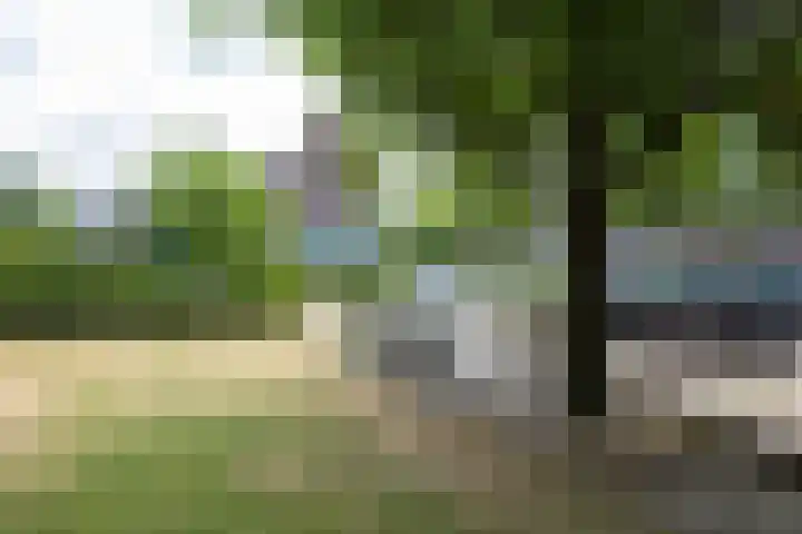 van Heutszstraat 61 Nijmegen thumbnail 27
