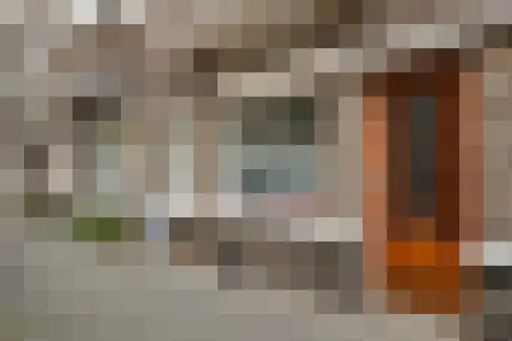 Van Heutszstraat 64 Den Haag thumbnail 42