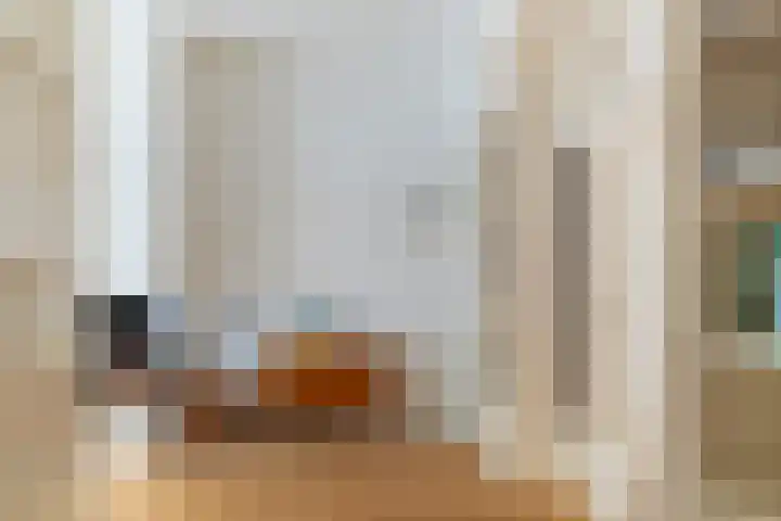 Van Heutszstraat 64 Den Haag thumbnail 8
