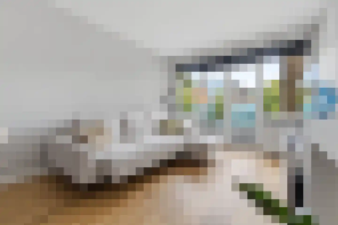Van Heutszstraat 99 Den Haag thumbnail 5