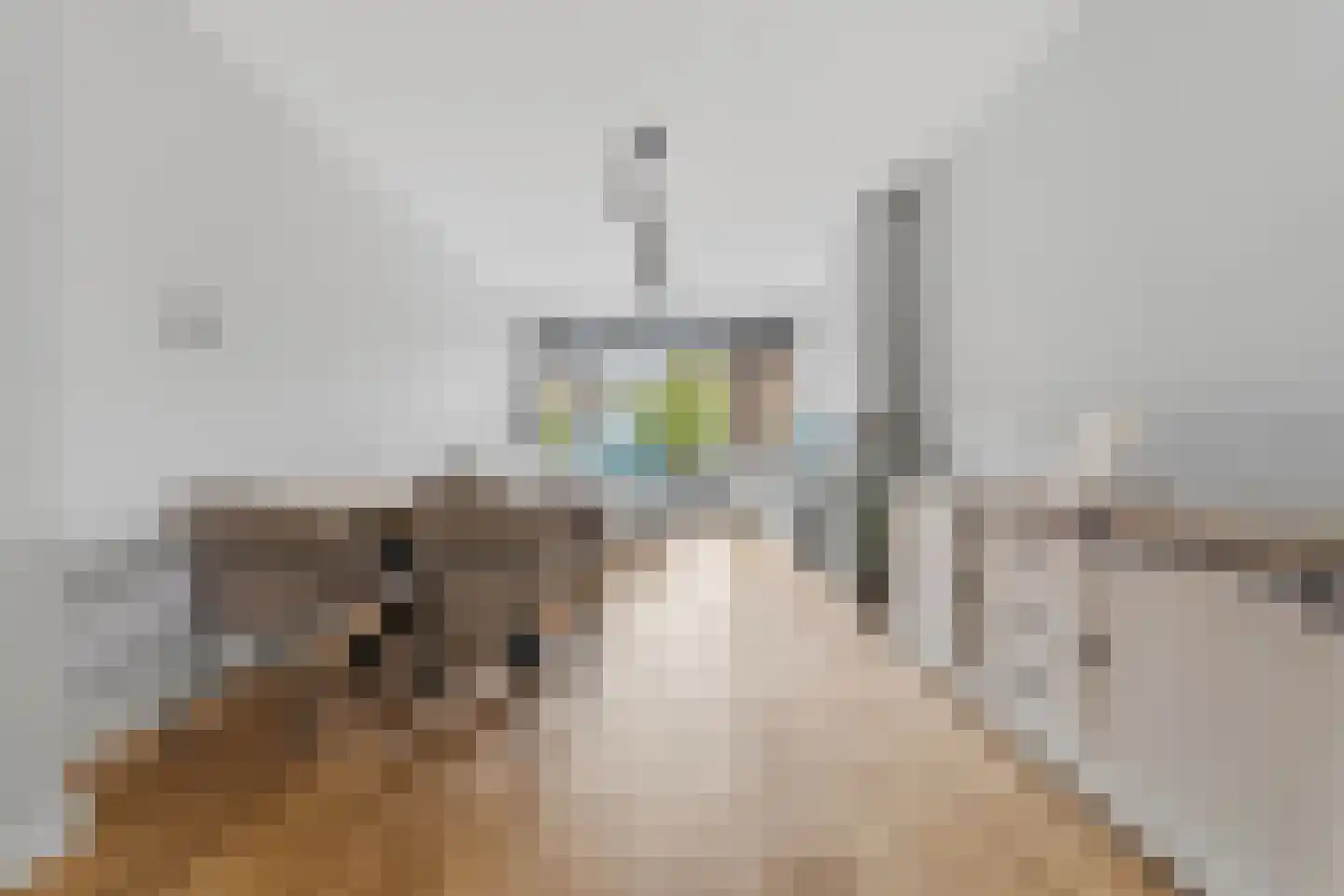 Van Heutszstraat 99 Den Haag thumbnail 7