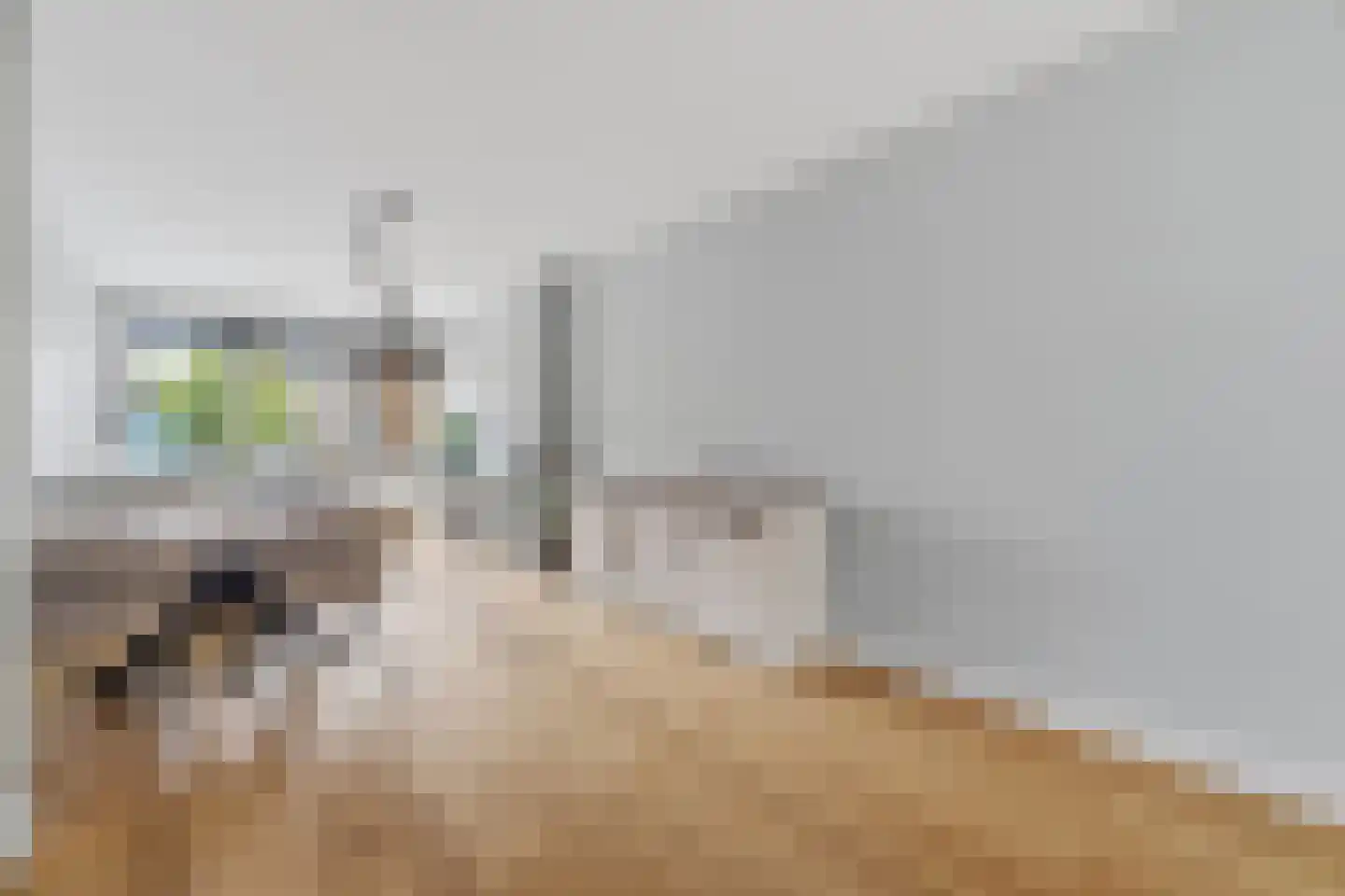 Van Heutszstraat 99 Den Haag thumbnail 8