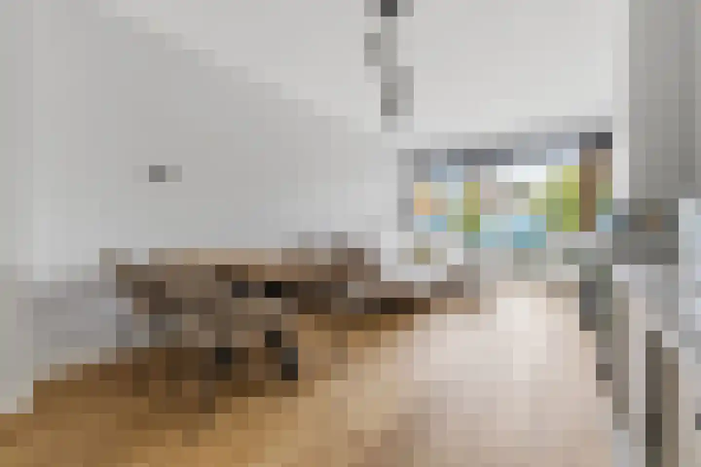 Van Heutszstraat 99 Den Haag thumbnail 9